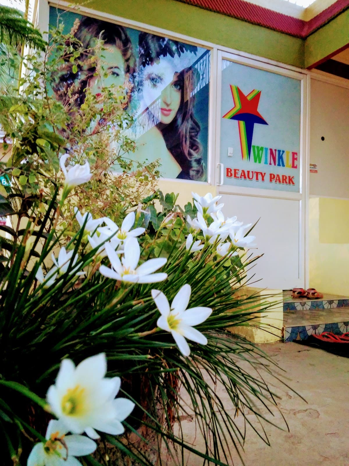 Twinkle Beauty Park