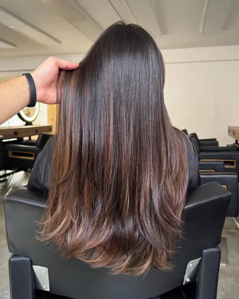 Chocolate Brown